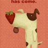 Strawberry-dog